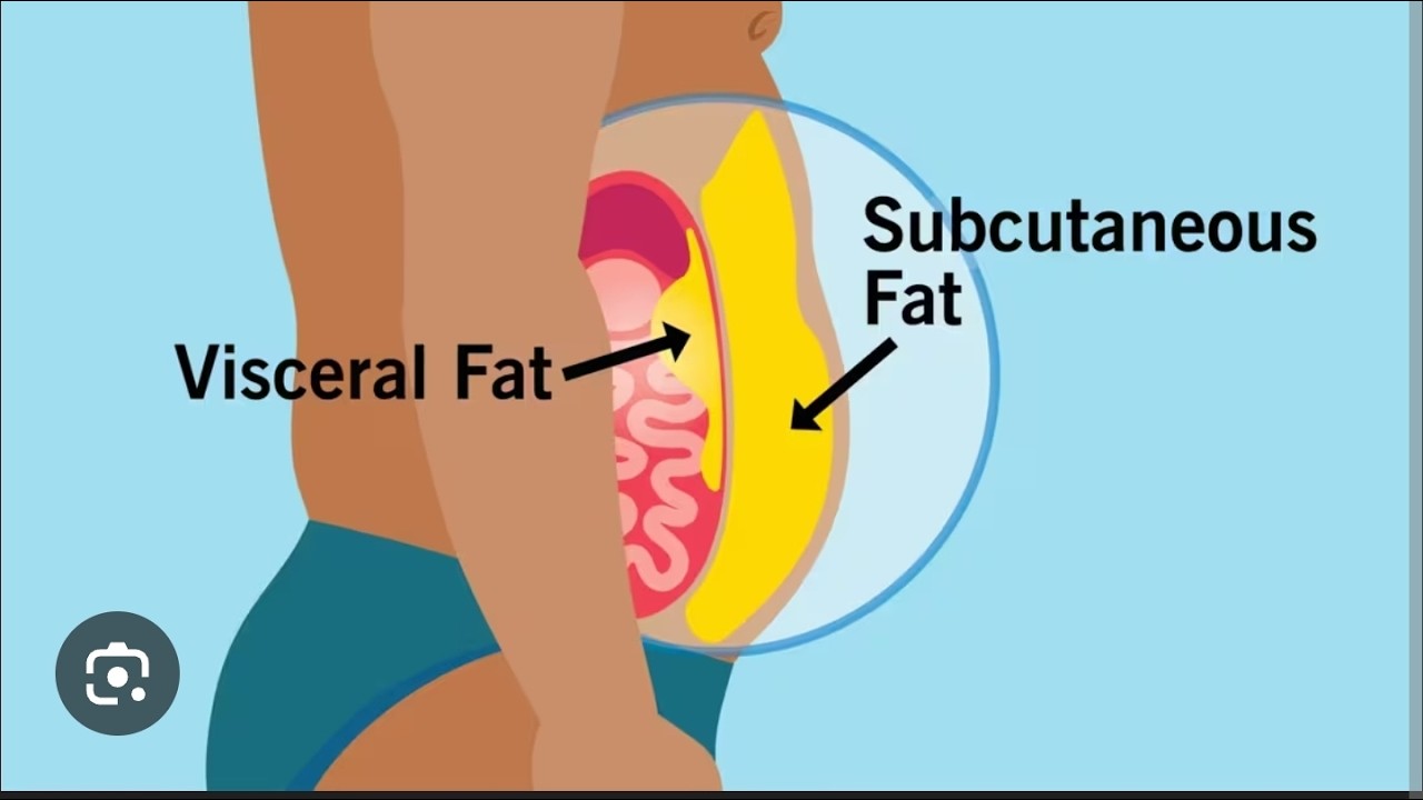 Lipids Full topic