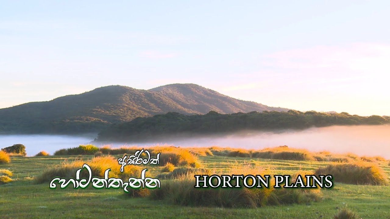 Horton plains | Programme 01 | 2019-06-02 | Rupavahini Documentary