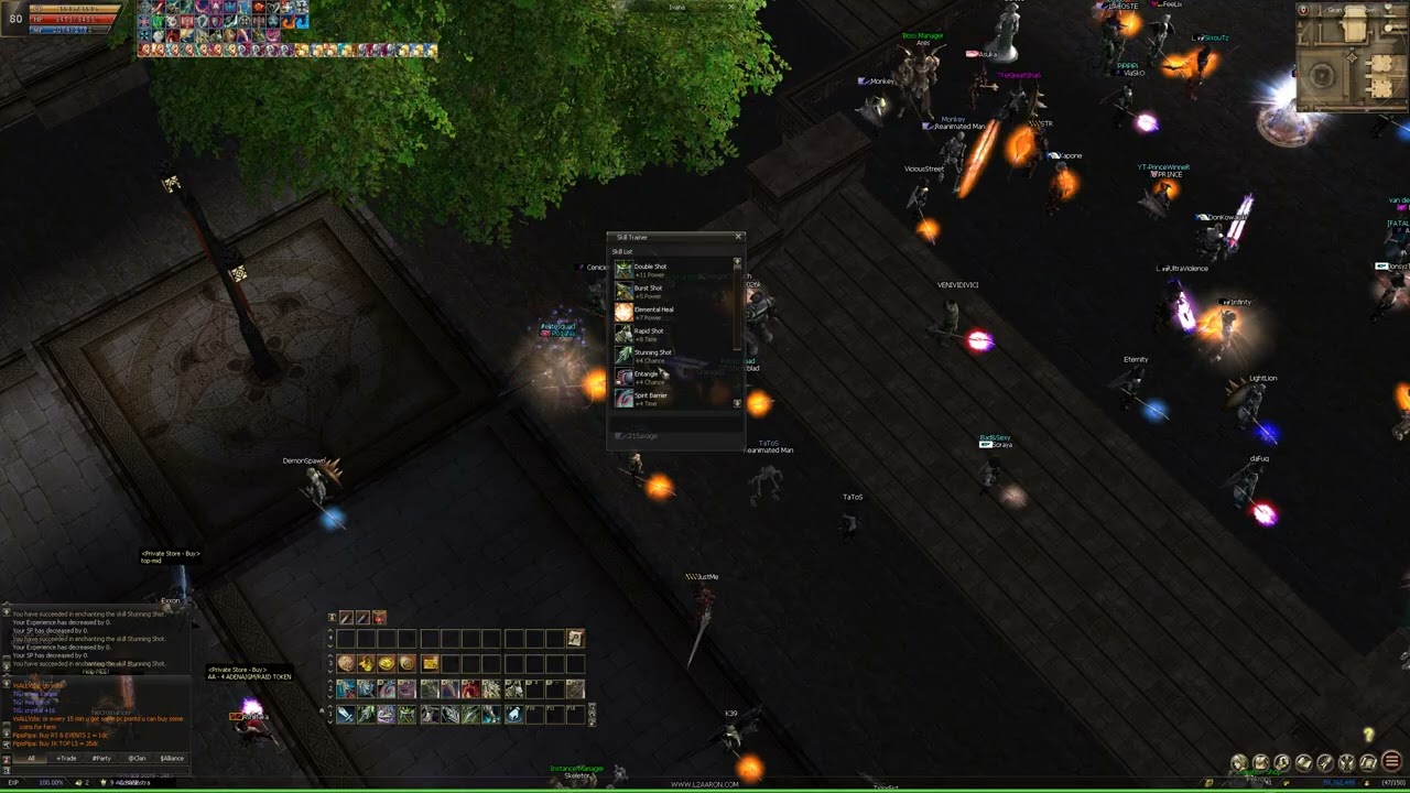 +11 stun shot Lineage II 2026 Moonlight Sentinel !