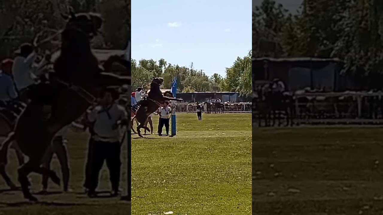 JINETEADA EN LA RINCONERA DEL GALLEGO RAPAZ TIGRE |GRUPA| #caballos #horse