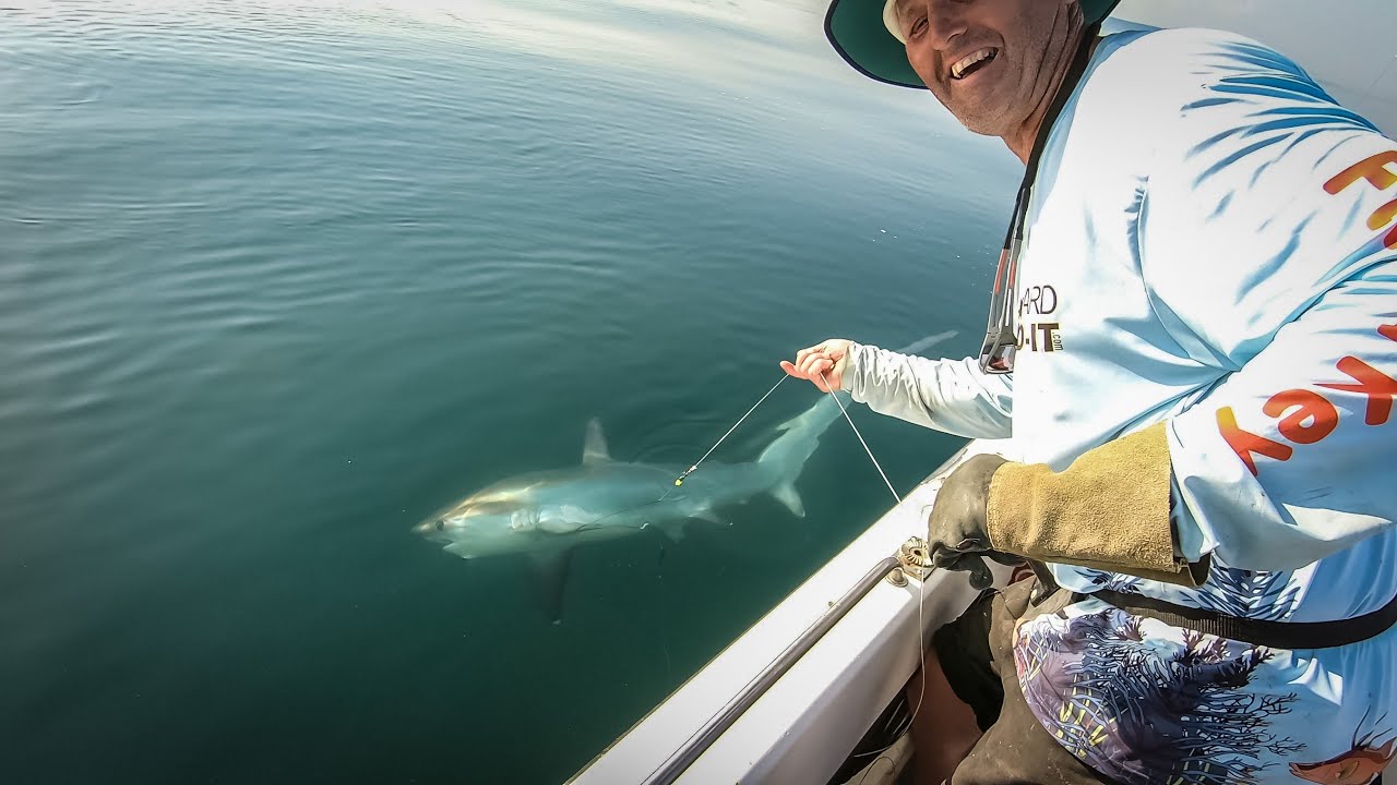 IOW Thresher Shark Est 200lb Jul-21