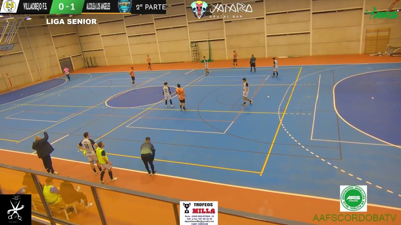 LIGA SENIOR 13ª JORNADA 2ª PARTE VILLAOBEJO F S    ALCOLEA LOS ANGELES