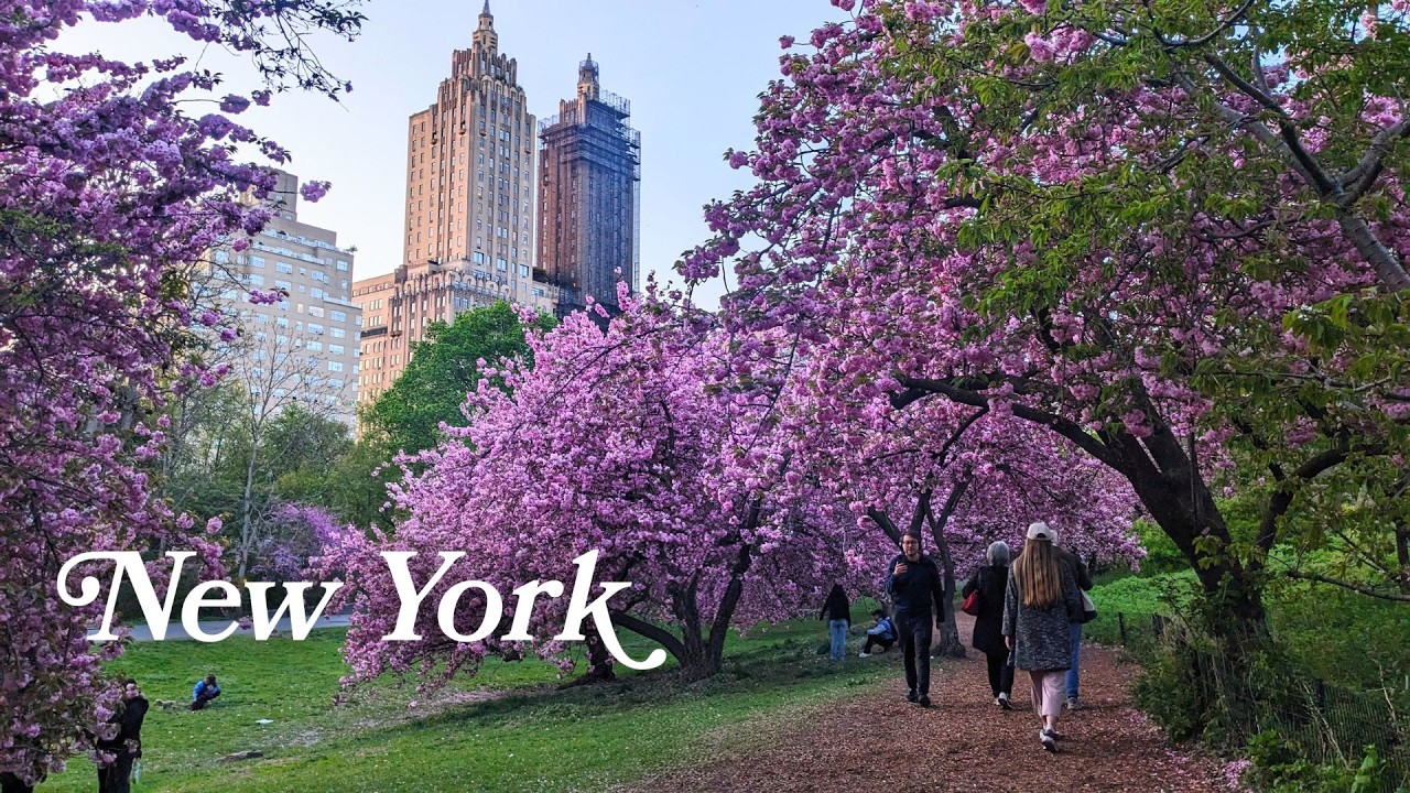 From Grand Central to Central Park 🌸 Early Cherry Blossom Walk in Manhattan