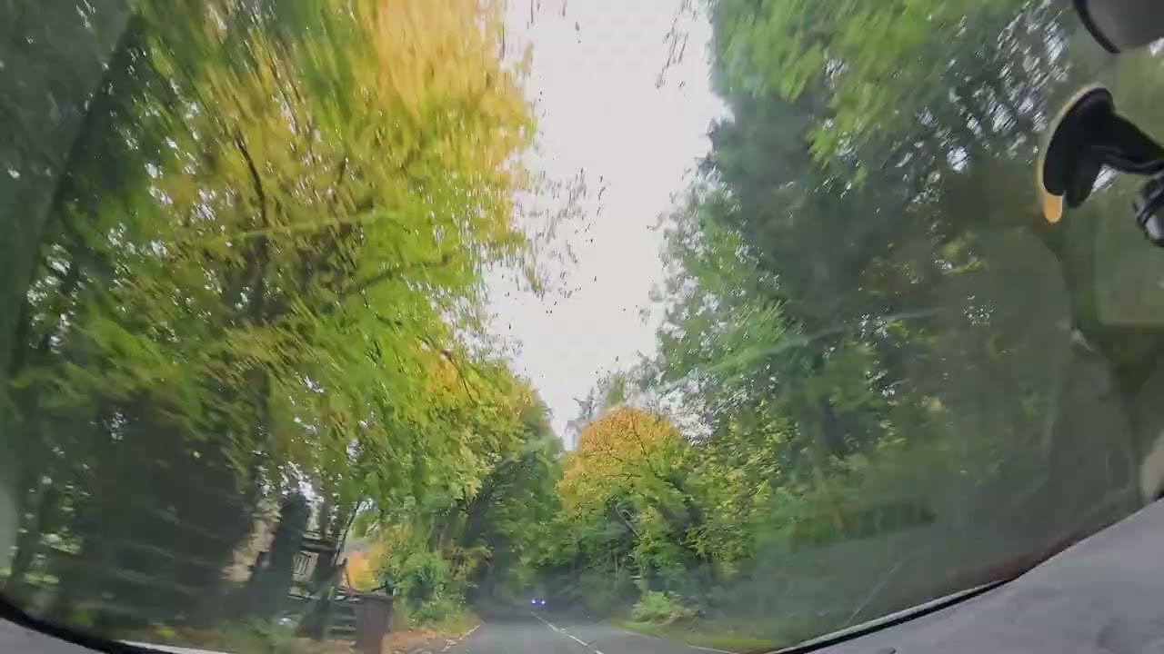 Autumn Drive