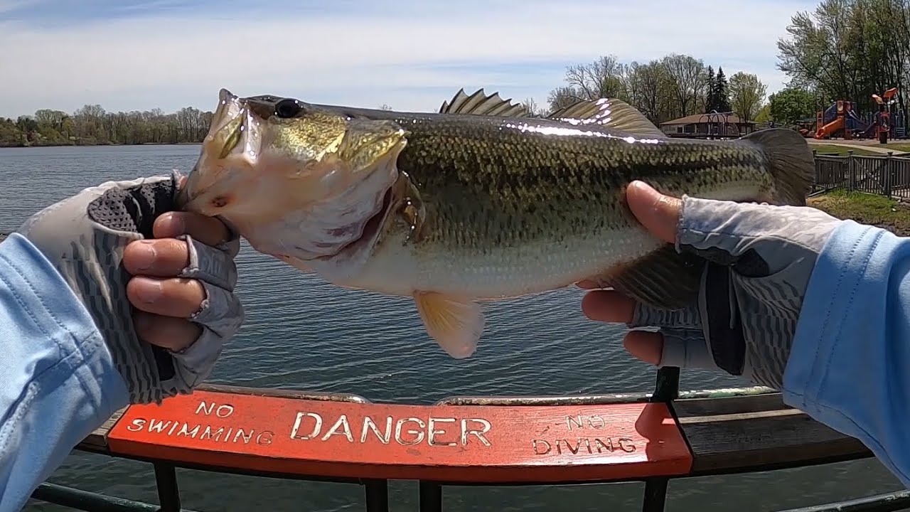 Grinding it out while pond fishing to catch a few fish. It was tough out there!