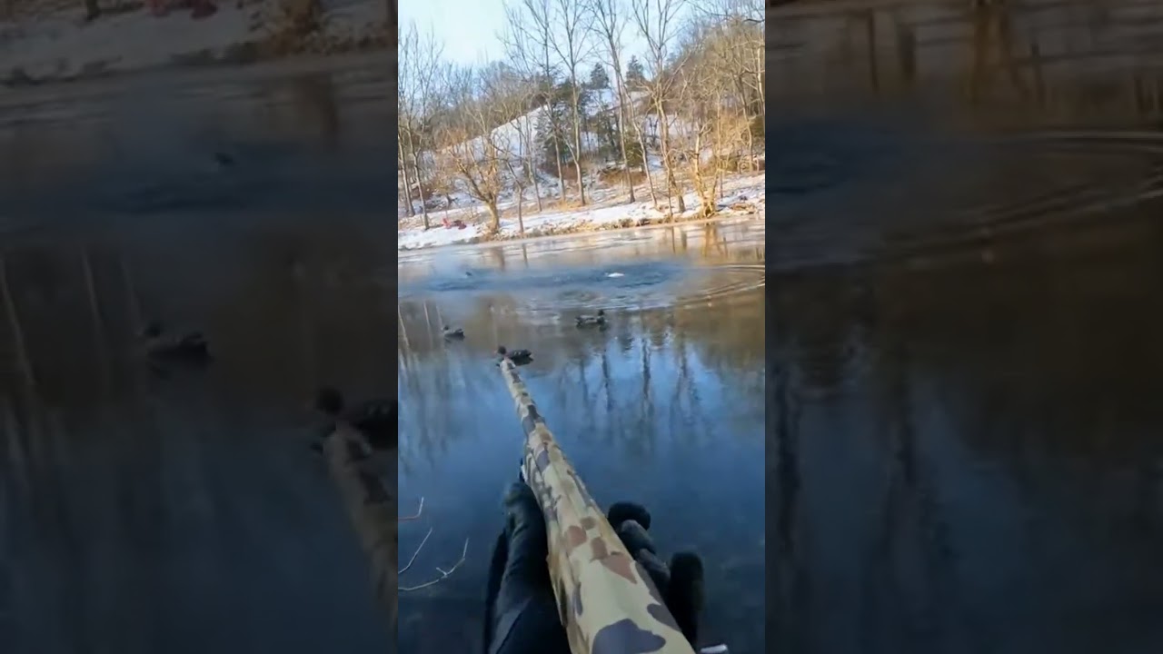 These Mergansers Decoyed Perfectly Icy River Duck Hunting #CommonMerganser #PublicLand #DuckHunting