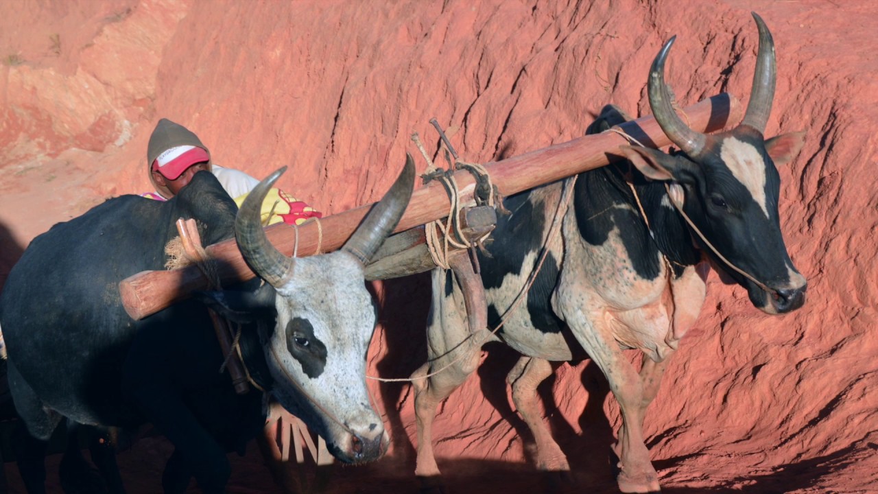 Mampikony Tananantsika 2