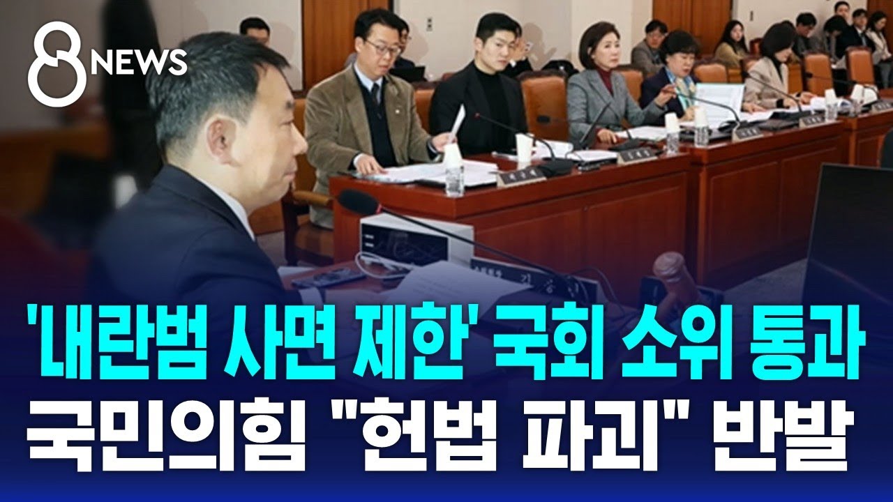 '내란범 사면 제한' 국회 소위 통과…국힘은 