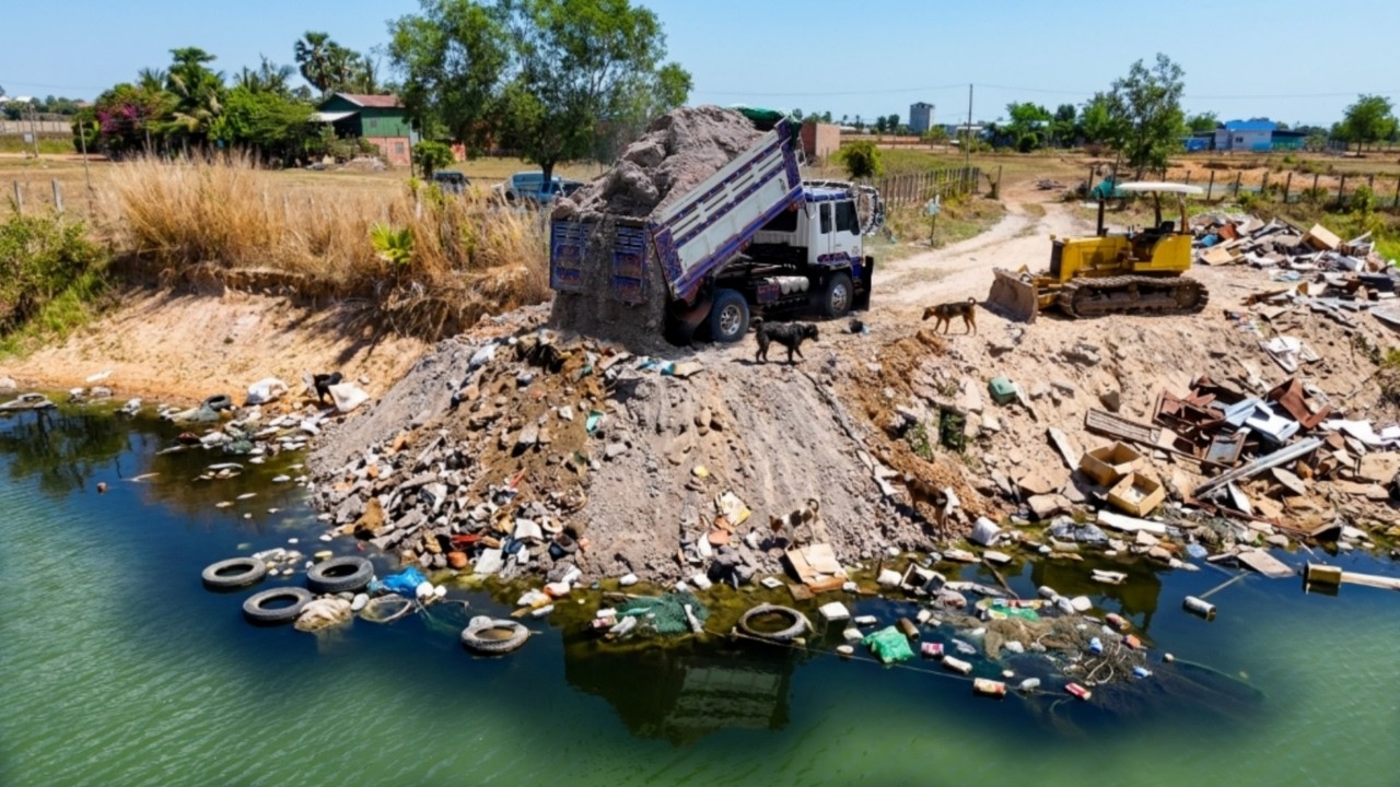 Excellent Starting New Perfect Project Delete Deep POND by Bulldozer D31 Pushing, Truck Dumping Dirt