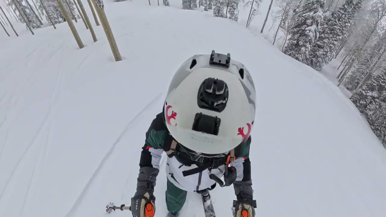 Tree skiing off White Pine, Powder Mountain 3/6/26 Last Run of the Day