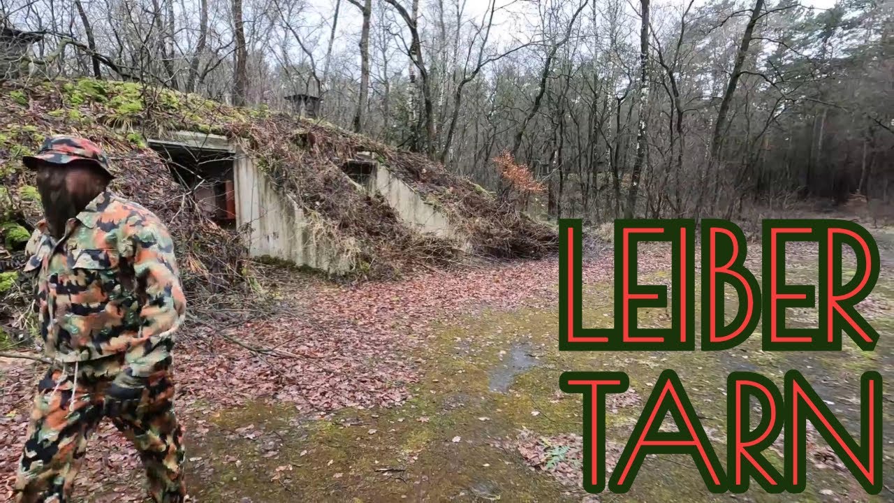 Leibertarn Wehrmacht Camo WK2 WW2