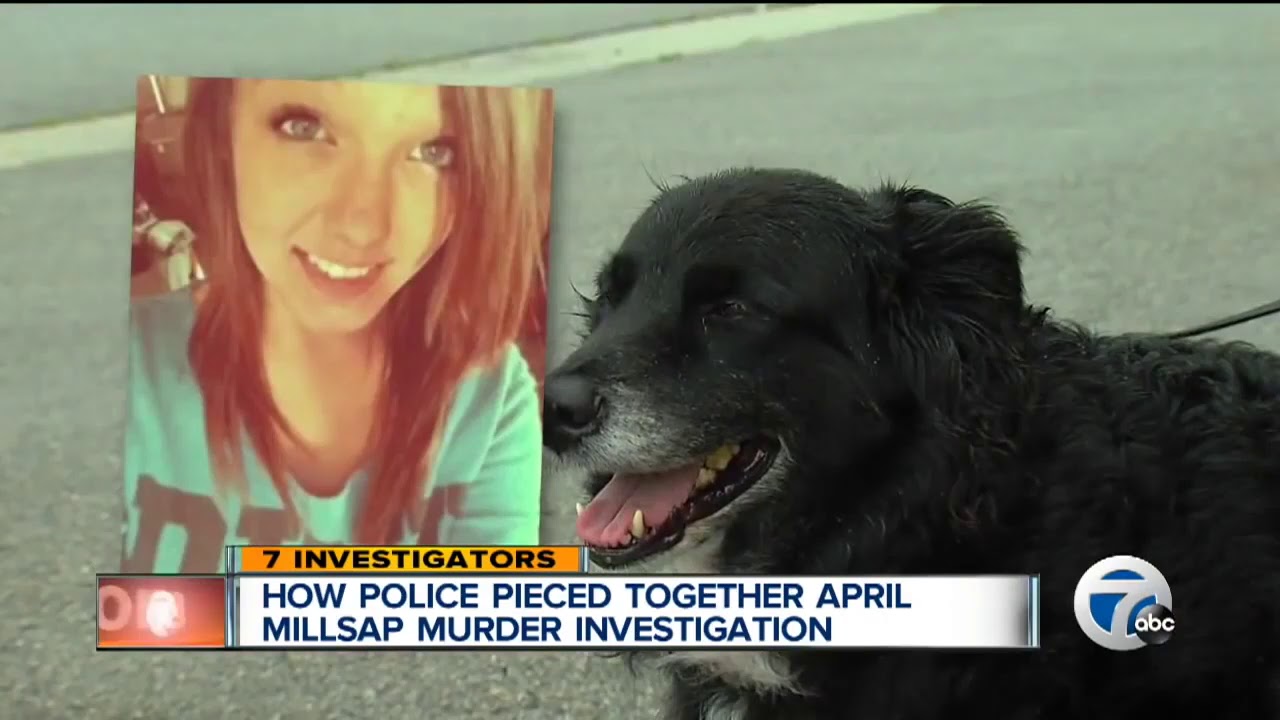 APRIL MILLSAP CASE - ARMADA, MI