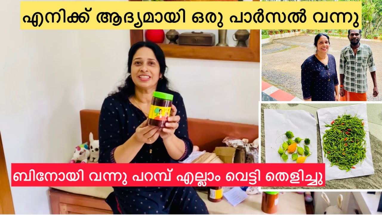 Subscribers gift box🥰🎁|വീടും പരിസരവുമെല്ലാം വൃത്തിയാക്കി😇 #aussieammamalayali #trending #trendinnow 