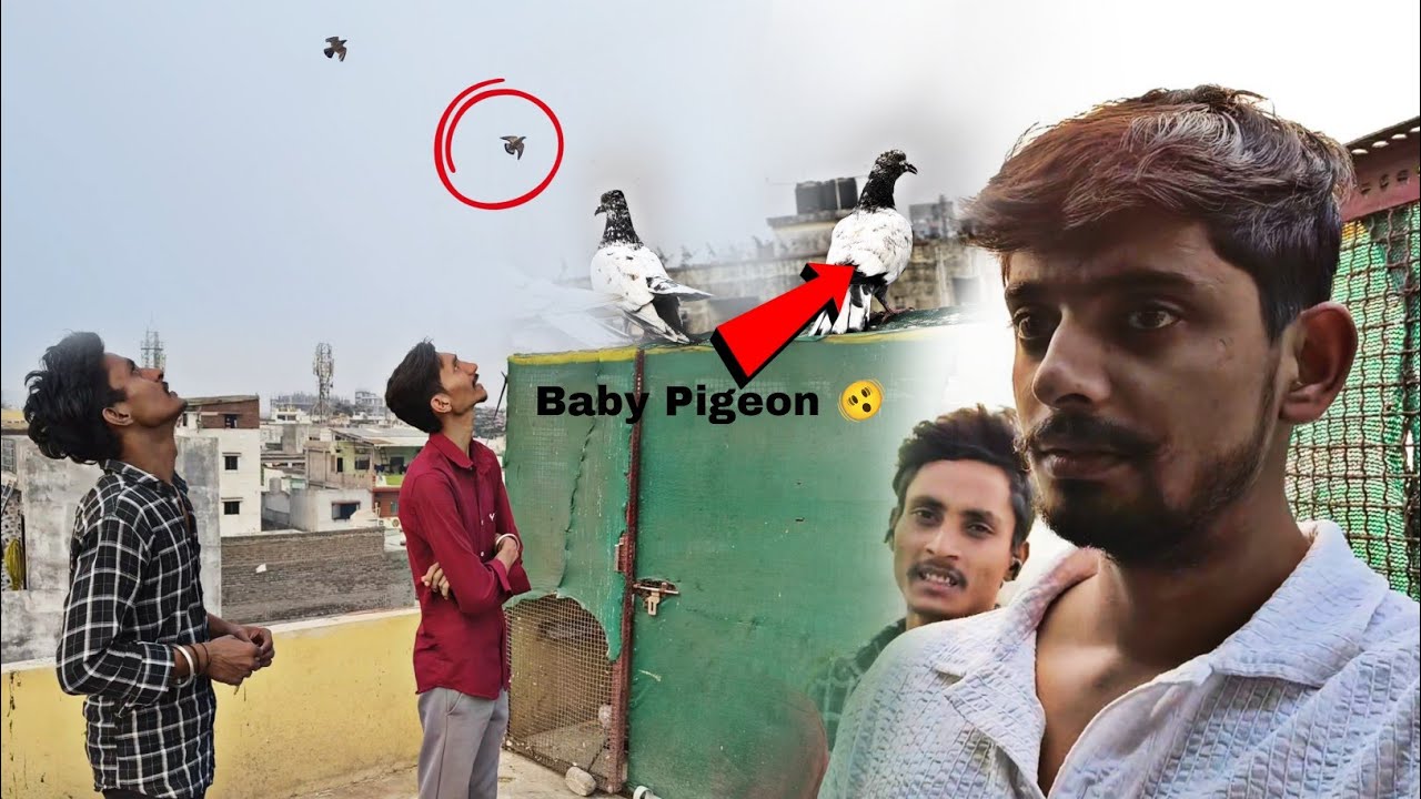 New Patha Bhag Gya 🤪