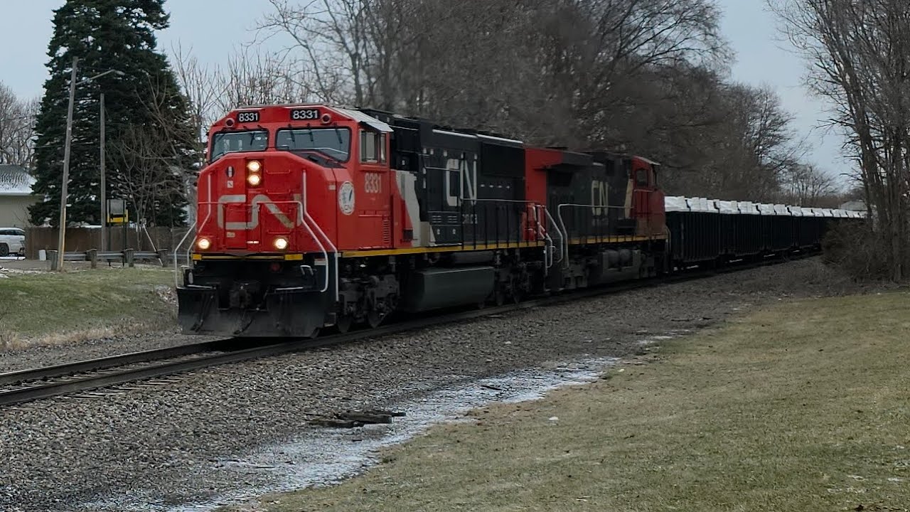 CN   M   301