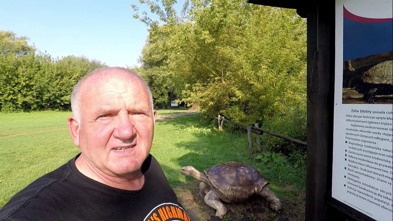 Ściana Wschodnia 2019