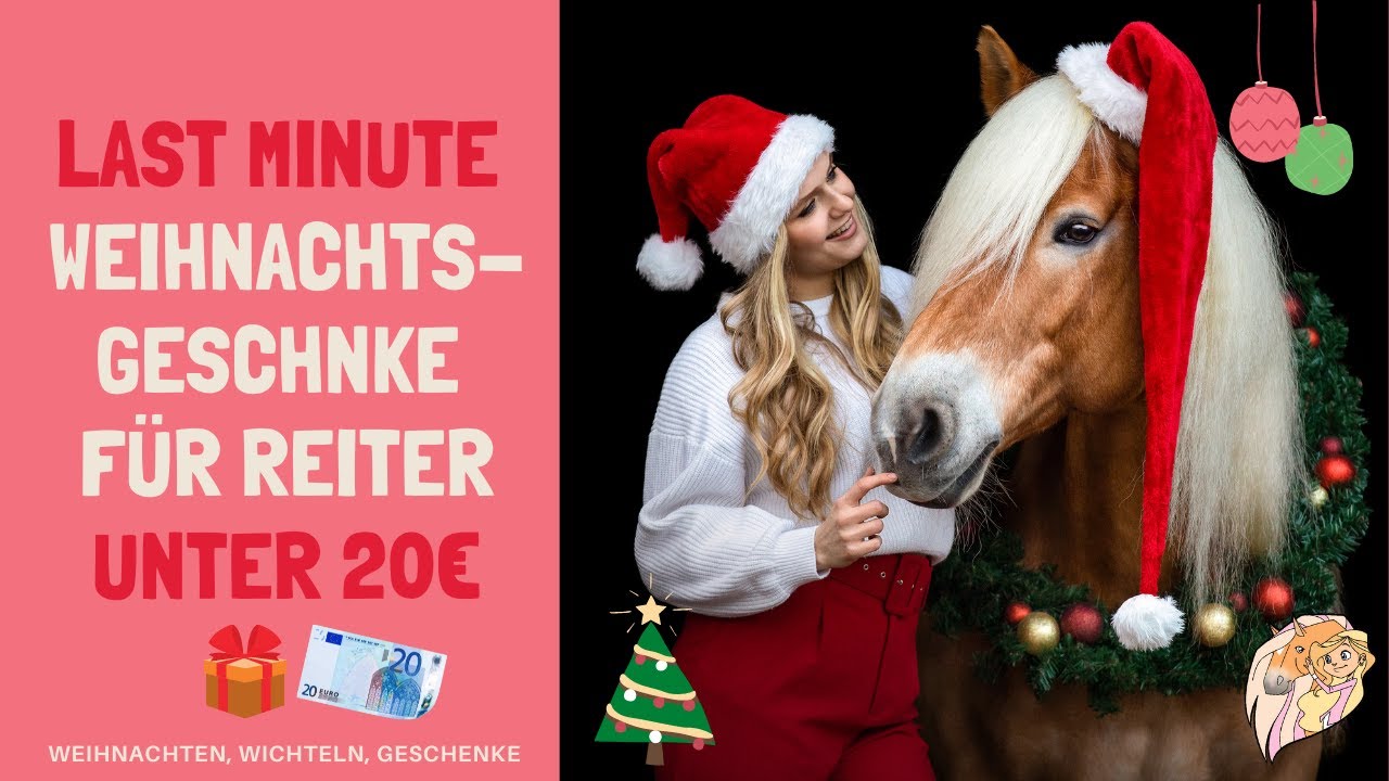 Last minute Weihnachtsgeschenke für Reiter UNTER 20€ I Anja Fee