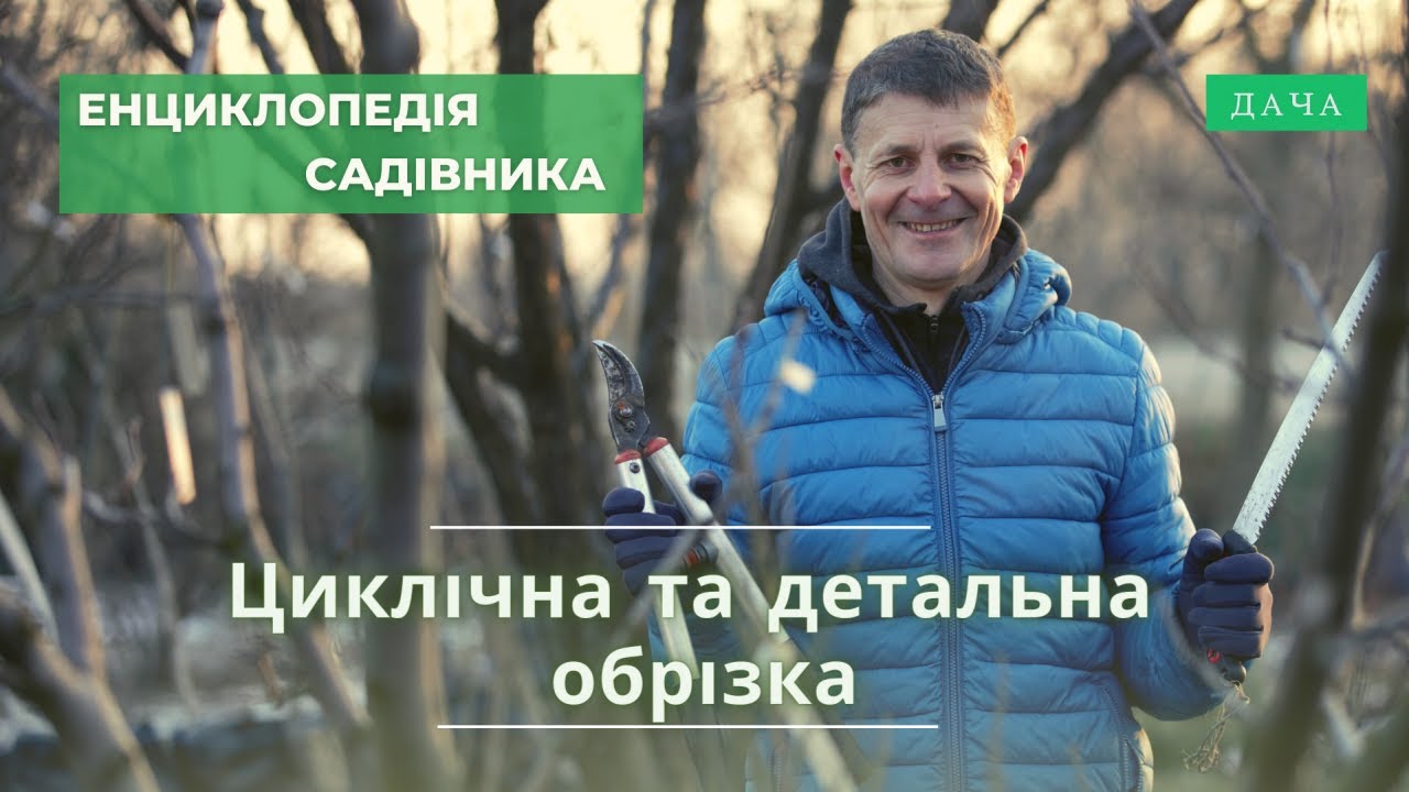Циклічна та Детальна Обрізка. Як Впливати на Плодоношення Дерев?