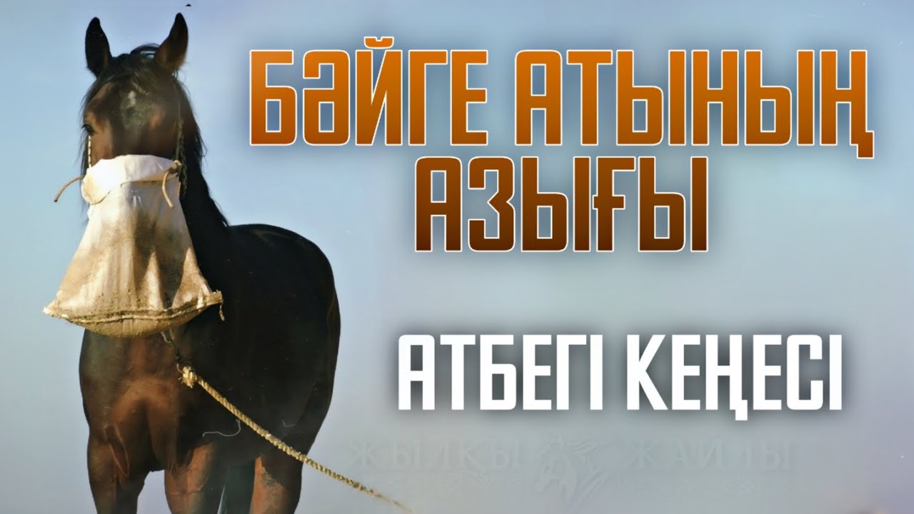 ЖЫЛҚЫҒА СИЫР СҮТІН ІШКІЗУ КЕРЕК🐎👀 - Жылқы Жайлы