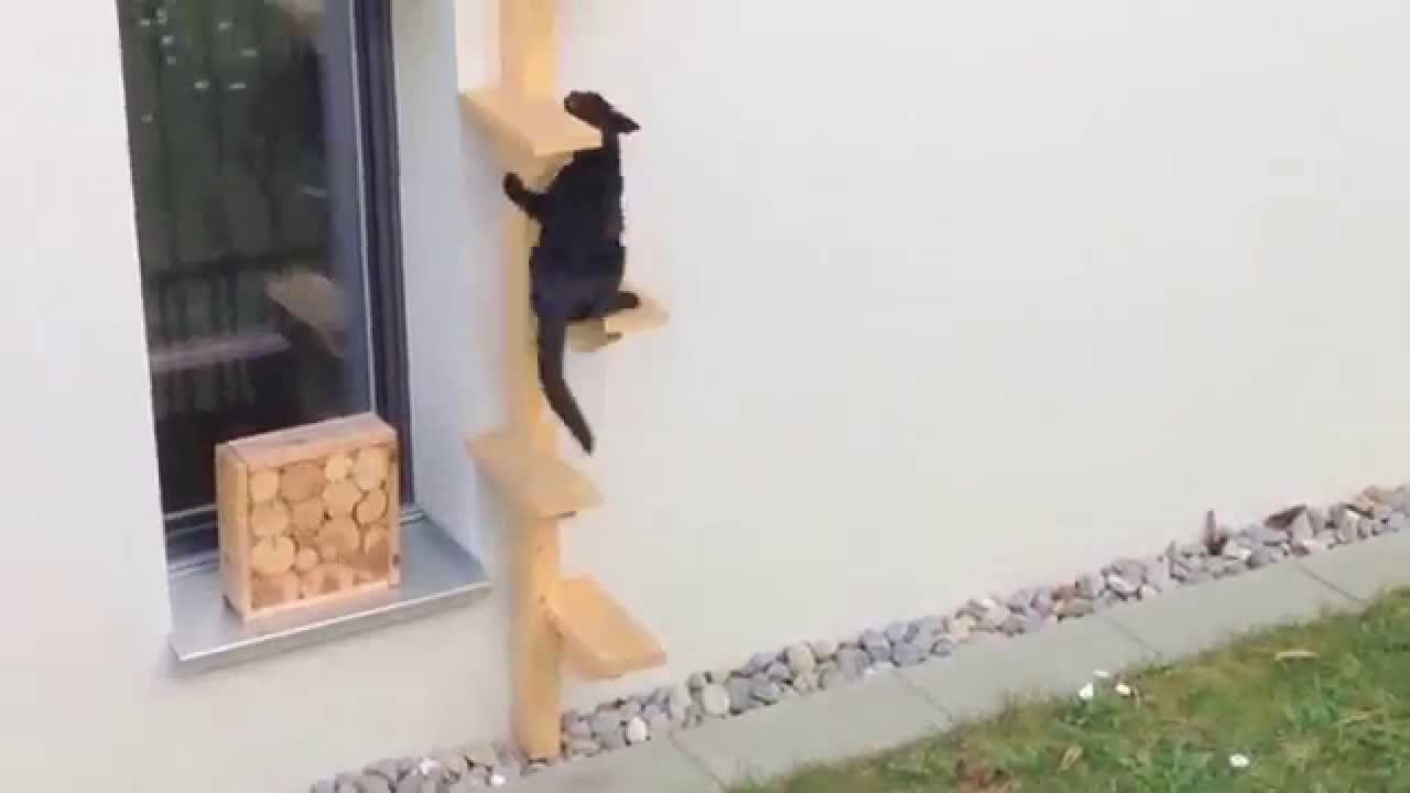 Kropf Holz Z&uuml;rich ǀ Katzenleiter
