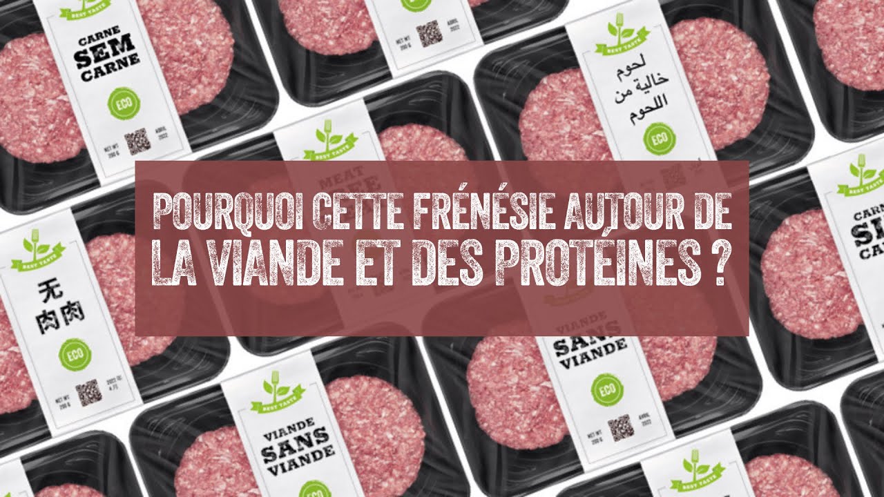 POURQUOI CETTE FR&Eacute;N&Eacute;SIE AUTOUR DE LA VIANDE ET DES PROT&Eacute;INES ?