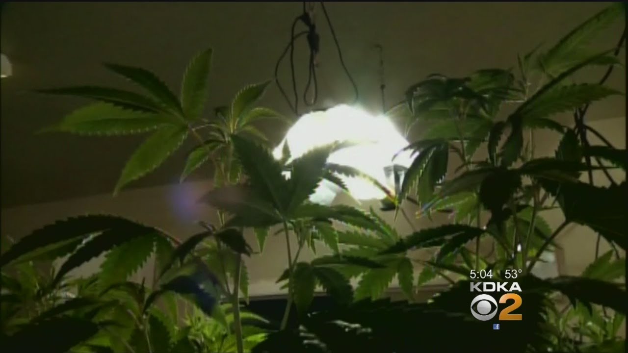 More, Better Medical Marijuana Now Available In Pittsburgh Area