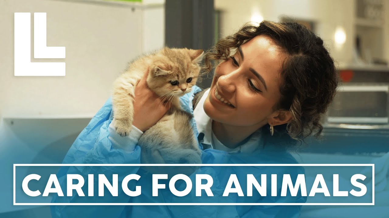 Caring for Animals with the Ontario SPCA | Living Local