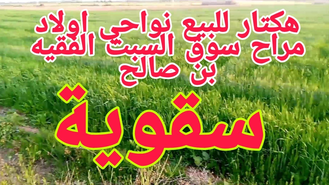 ارض فلاحية للبيع 1 هكتار صالحة لزراعة اي شئ سقوية في بني ملال اولاد مراح