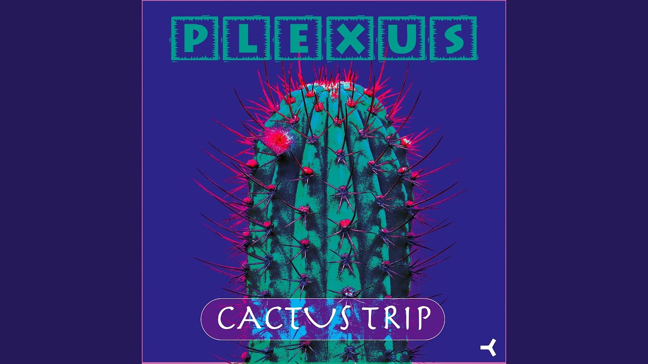 Cactus Trip (Zunga Mix)