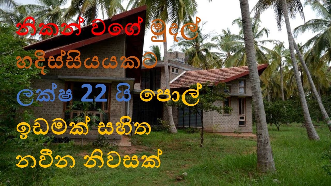 නිකන් වගේ මුදල් හදිස්සියයකට ලක්ෂ 22 යි පොල් ඉඩමක් සහිත නවීන නිවසක් - Ape nivasa