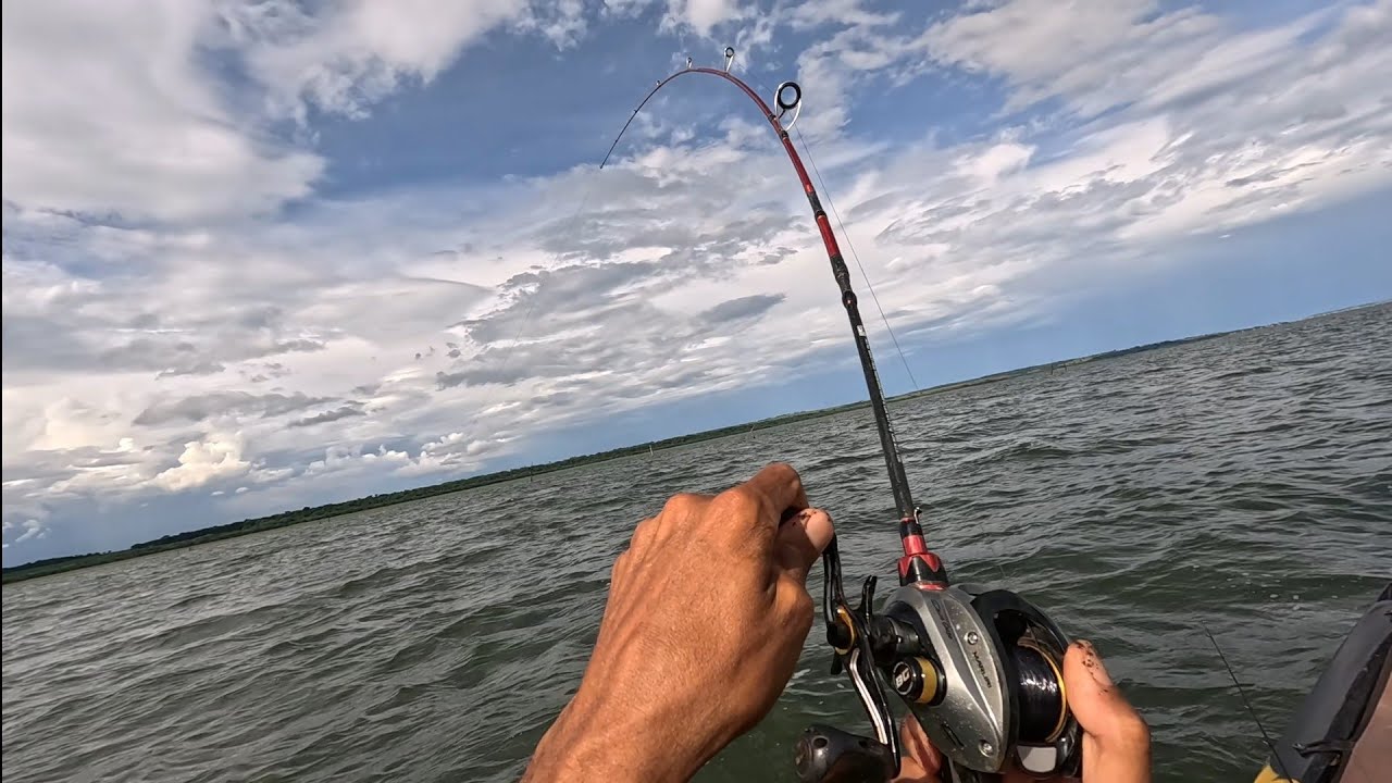 Pescaria Rio Grande que peixe grande.