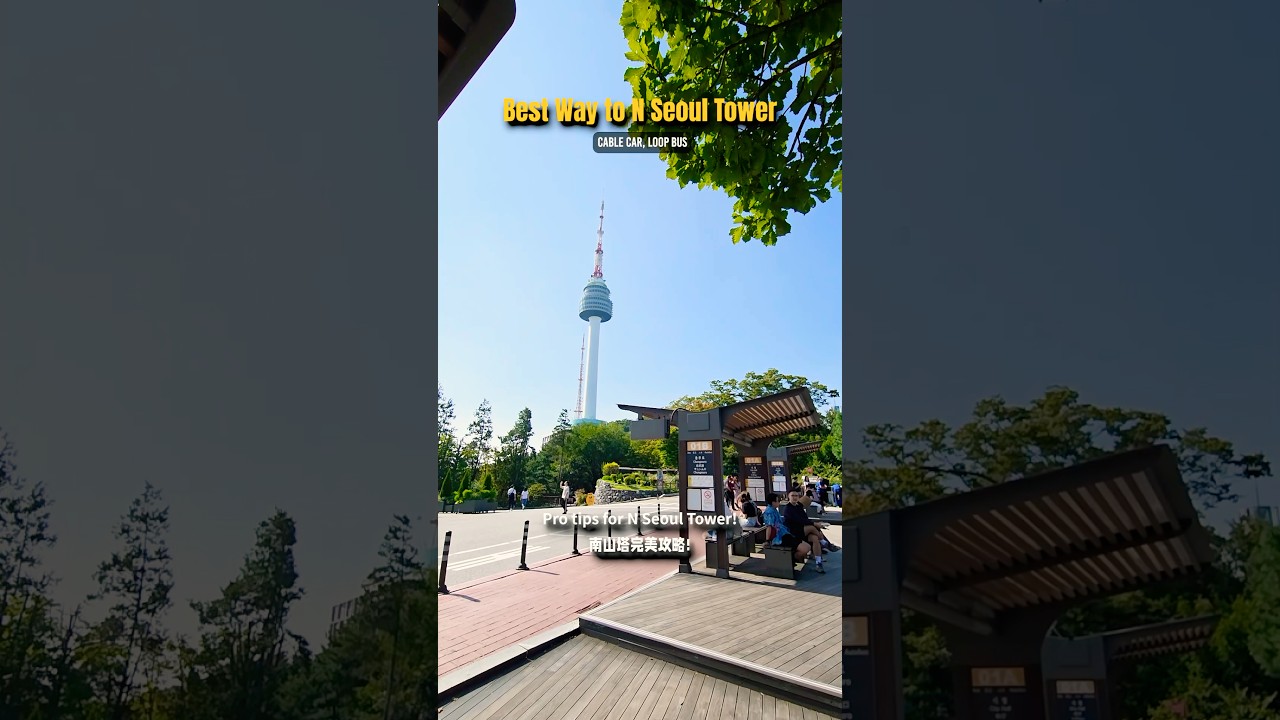 Best Way to Namsan Tower: Cable Car vs Loop Bus 🚡🚌