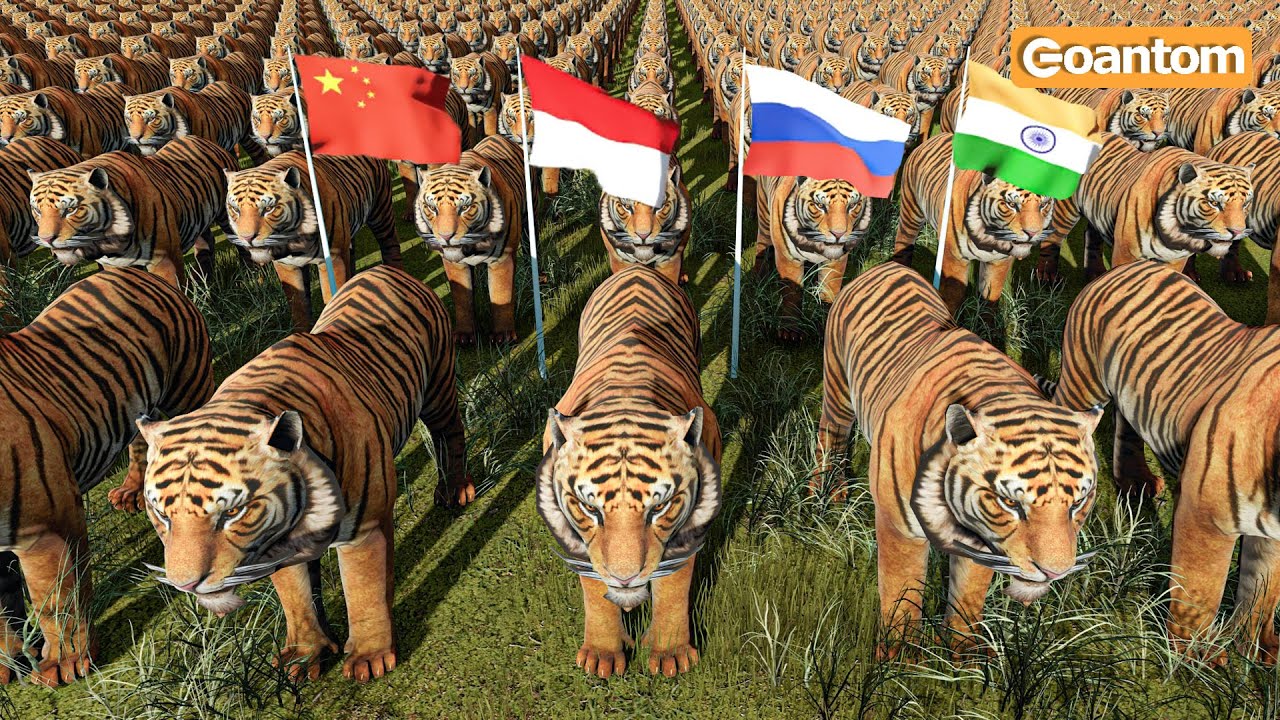 Tiger Population by Country 2024