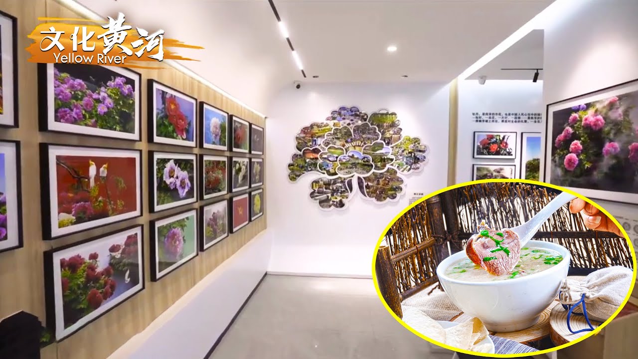 第78集：揭秘菏泽牡丹产业链贸易繁荣背后的故事，单县非遗羊汤传承百年香飘万里的秘密——锦绣牡丹 花开菏泽 【天下黄河】| 文化黄河 Yellow River