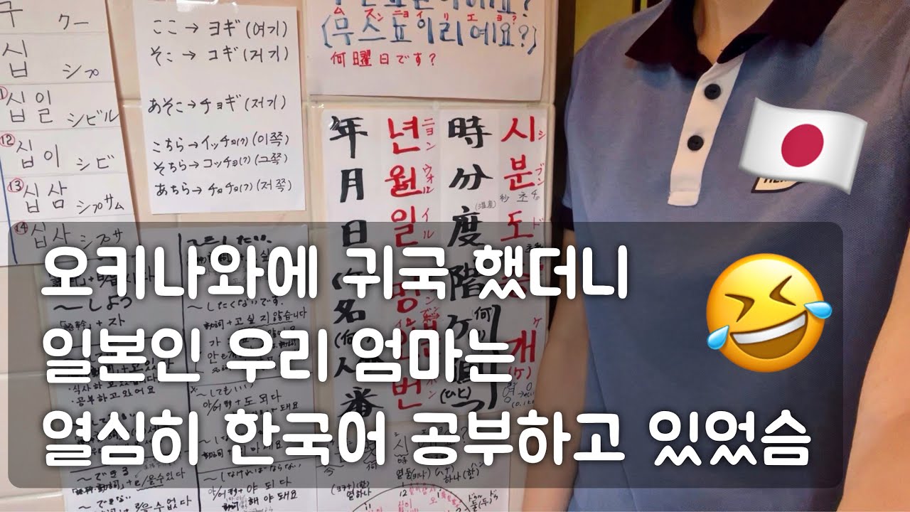 【日本帰国】母が韓国好きになると…、沖縄の家のデメリット、韓国に住む日本人の日常VLOG