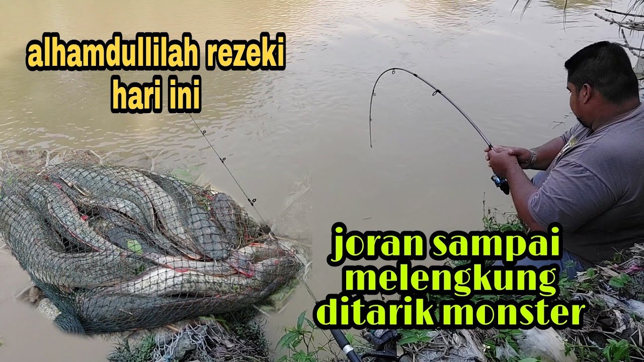 (EP:67)MEMANCING STRIKE LUBUK IKAN KELI(LELE)