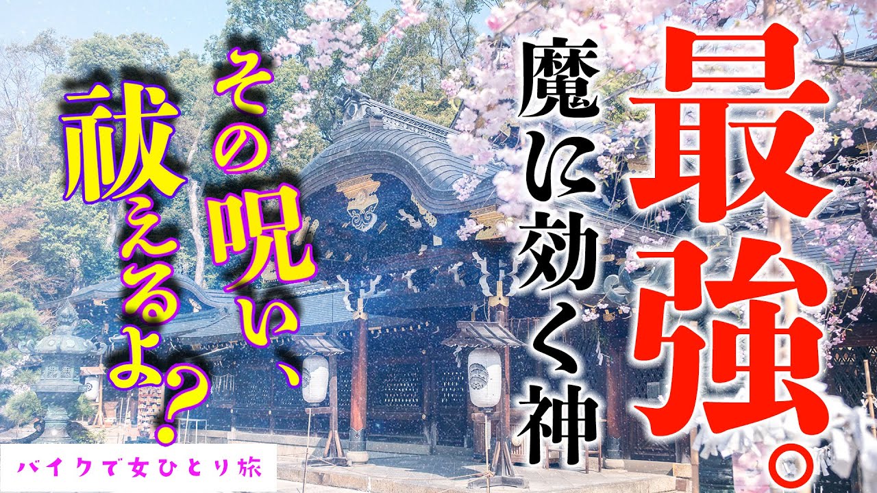 【魔を落とすと言われる最強の神】牛頭天王のいらっしゃる今宮神社へ参拝