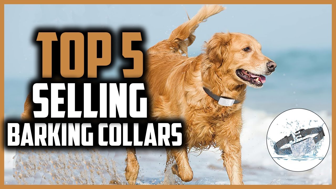 ✅Top 5 Best Selling Barking Collars for 2026