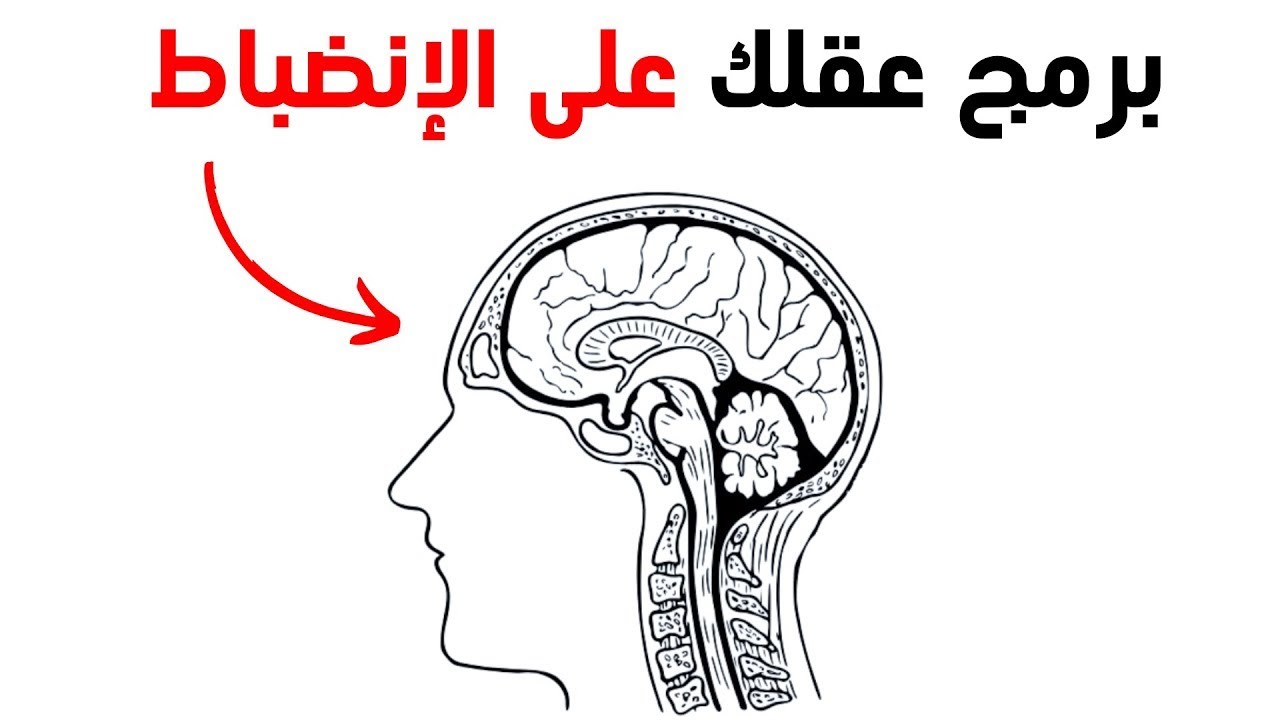 أنت لست كسولًا… أنت فقط تحتاج لهذا!