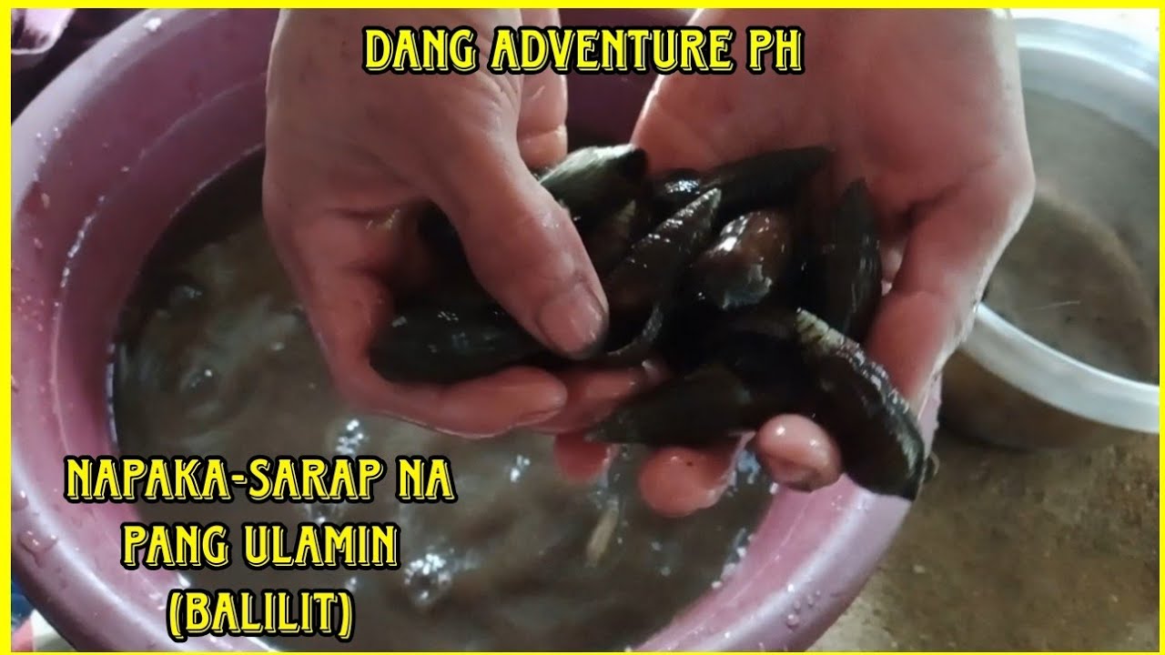 Kinakain Pala ang ganitong klase ng suso?! | dang adventure 