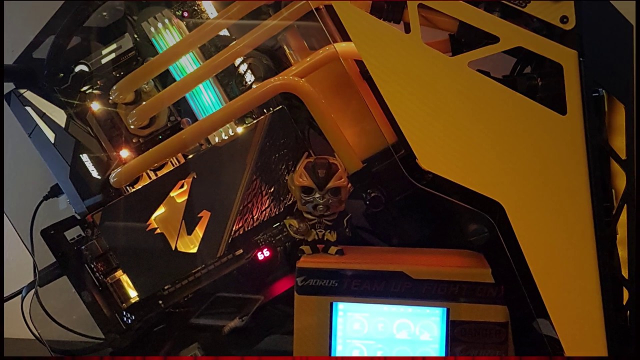 COUGAR CONQUER  (Bumble Bee Theme)