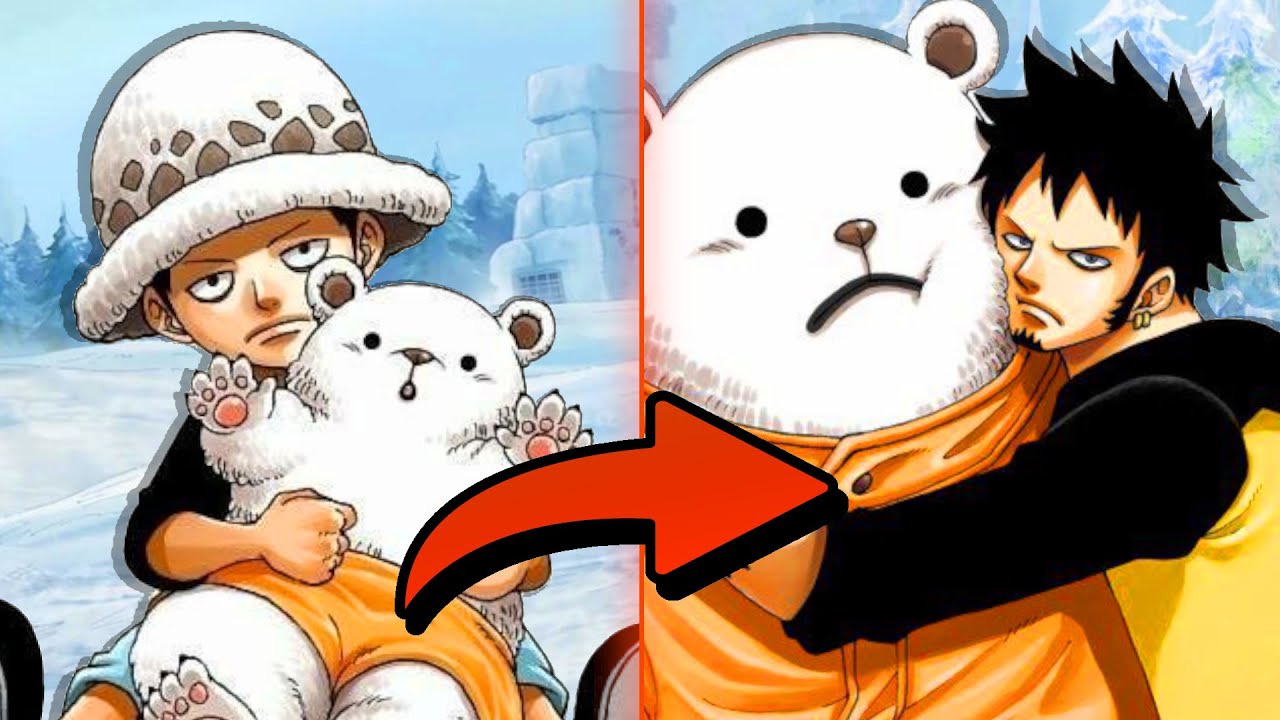 LA VERA STORIA DI LAW DOPO CORAZON | STORIA COMPLETA (one piece)