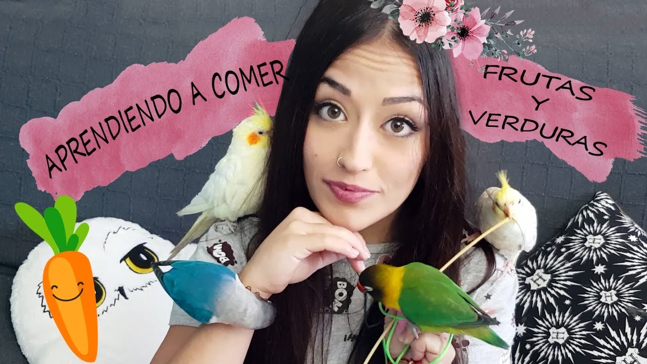¡CONSEJOS PARA QUE COMAN FRUTAS Y VERDURAS!