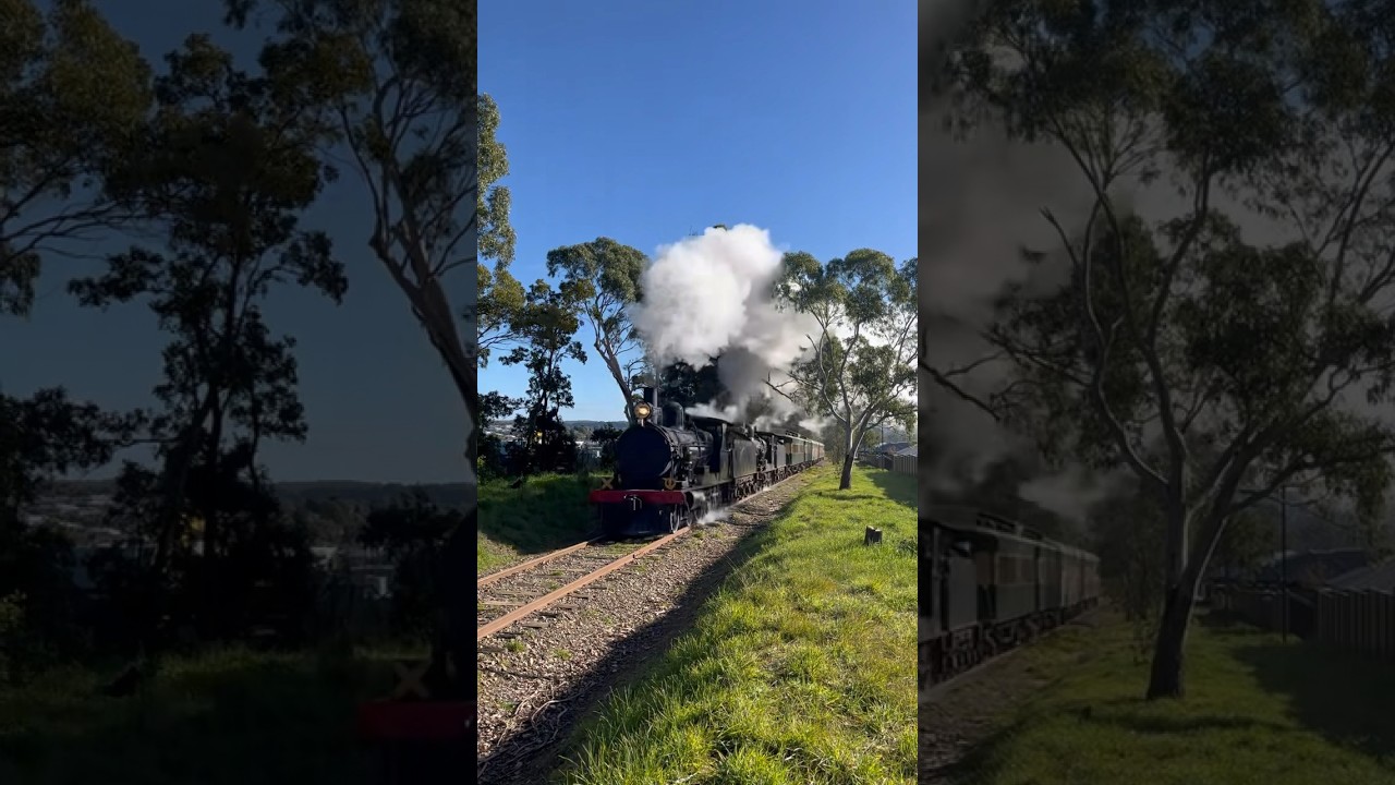 TRAINS AM22 Steamranger Heritage Ranger Southern Encounter with RX207 RX224 at Fidler Lane, S Aust