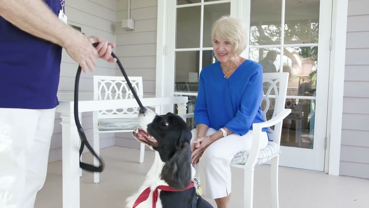 VNA Volunteer Services – Pet Therapy