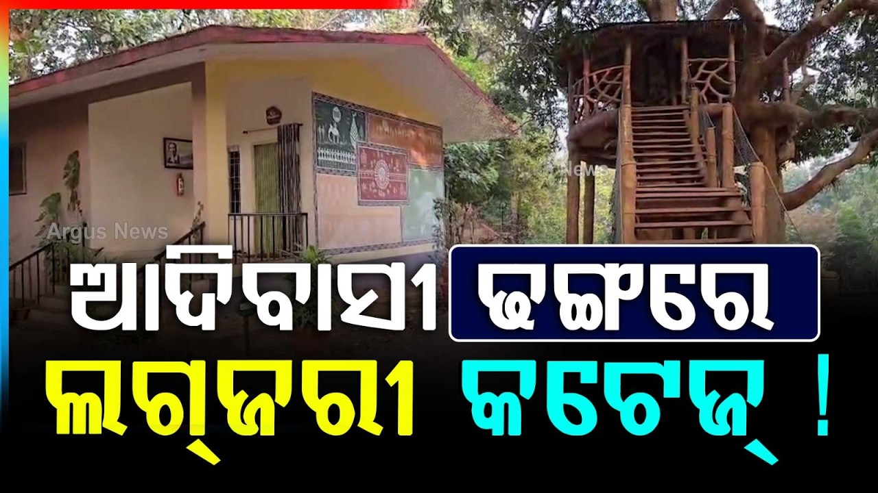 Sanaghagara Nature Camp In Keonjhar | Tribal Cottages & Scenic Stay | Odisha Tourism | Argus News