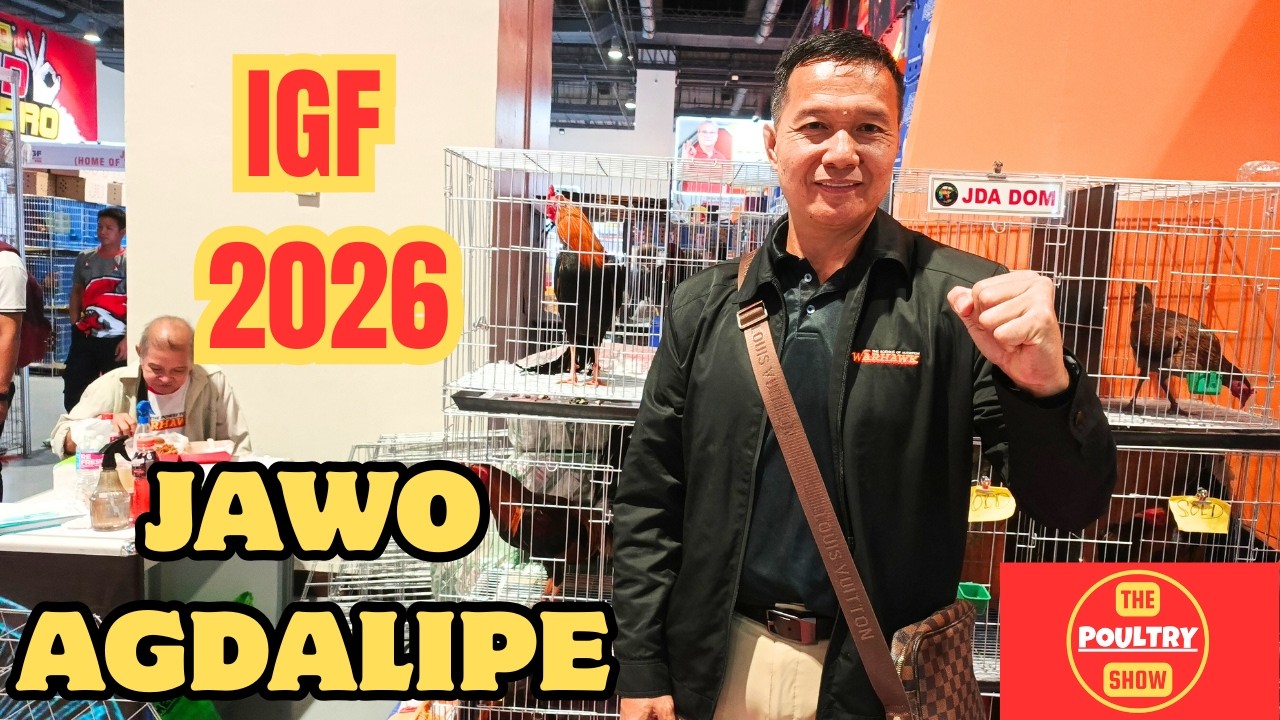 𝐈𝐆𝐅 𝟐𝟎𝟐𝟔 | 𝐉𝐚𝐰𝐨 𝐀𝐠𝐝𝐚𝐥𝐢𝐩𝐞 | 𝐌𝐢𝐜𝐡𝐚𝐞𝐥 𝐈𝐚𝐧 𝐄𝐬𝐩𝐢𝐧𝐨𝐬𝐚