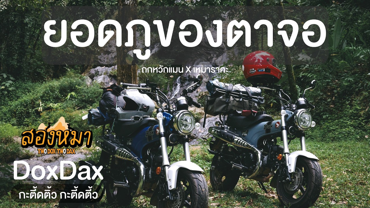 DOX DAX ตรันขึ้นลูกควน พังงา