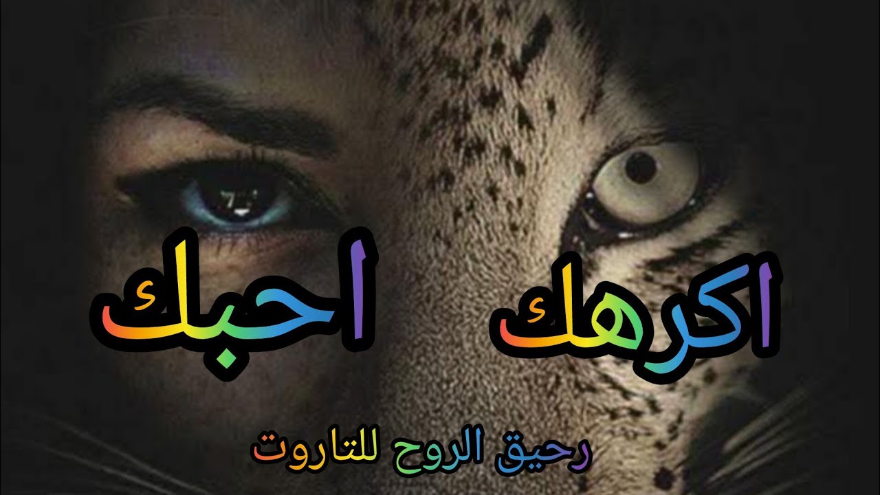 بدأت قناة 