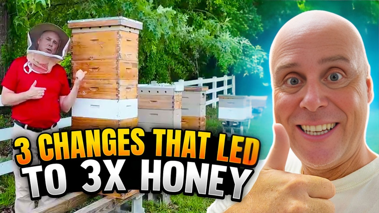 How I Got 3 Times More Honey This Year!